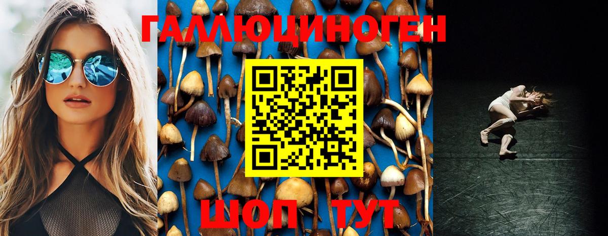 Галлюциногенные грибы MAGIC MUSHROOMS Губкин