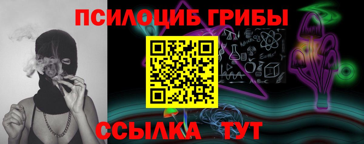 Галлюциногенные грибы Cubensis  Вход с VPN  Губкин 